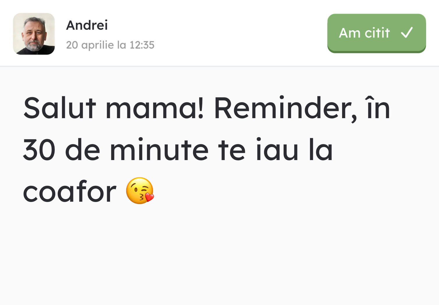 Mesaj text primit